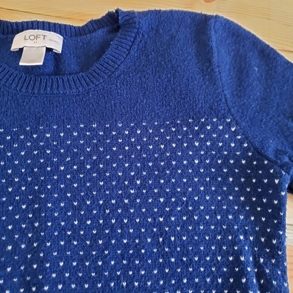 Loft blue and white crew neck sweater